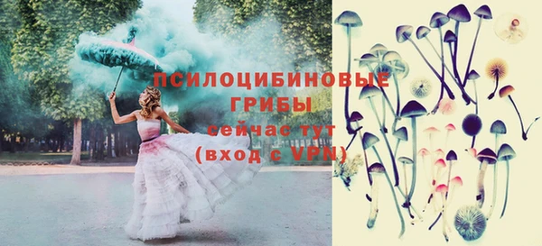 соль ск Аркадак