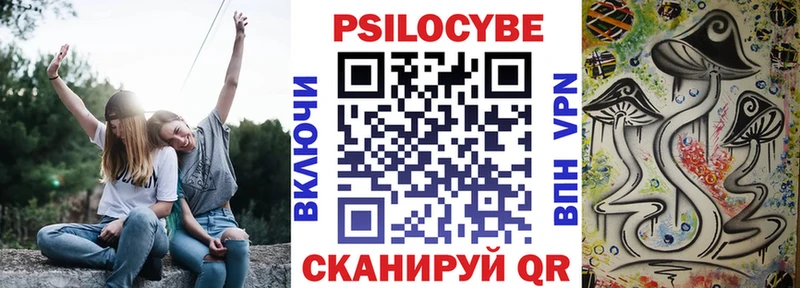 даркнет сайт  Верещагино  Псилоцибиновые грибы Psilocybe 